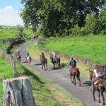 {Click to Enlarge} Sixty riders and their horses enjoyed a 10 mile ride from Thompson Road to the Fleming Arboretum